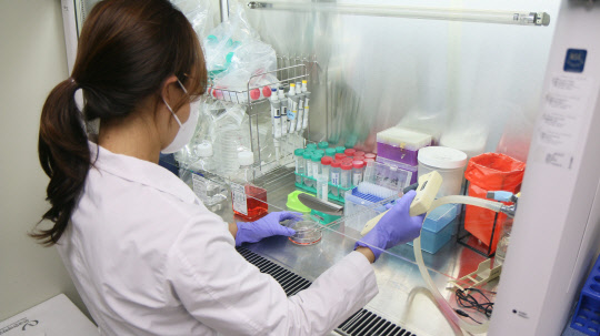 과기정통부는 문재인 정부 때 도입된 블라인드 채용을 내년 1월부터 소관 29개 연구개발목적기관에 한해 폐지하고, 새로운 채용기준을 확정했다.